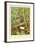 Whippoorwill-null-Framed Art Print