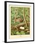 Whippoorwill-null-Framed Art Print