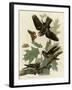 Whipporwill-null-Framed Giclee Print