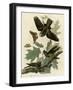 Whipporwill-null-Framed Giclee Print