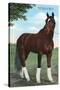 Whirlaway, Kentucky Derby Winner-null-Stretched Canvas