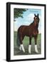 Whirlaway, Kentucky Derby Winner-null-Framed Art Print