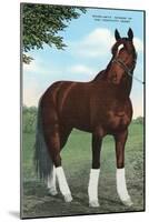 Whirlaway, Kentucky Derby Winner-null-Mounted Art Print