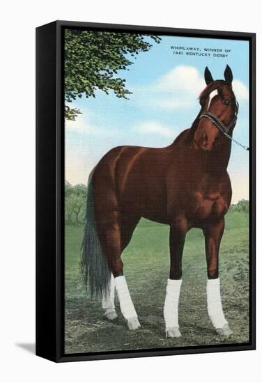 Whirlaway, Kentucky Derby Winner-null-Framed Stretched Canvas