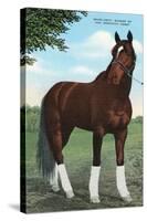 Whirlaway, Kentucky Derby Winner-null-Stretched Canvas