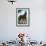 Whirlaway, Kentucky Derby Winner-null-Framed Art Print displayed on a wall