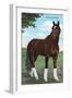 Whirlaway, Kentucky Derby Winner-null-Framed Premium Giclee Print