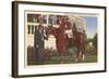 Whirlaway, Kentucky Derby Winner-null-Framed Art Print