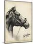 Whirlaway-R.H. Palenske-Mounted Art Print