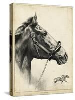 Whirlaway-R.H. Palenske-Stretched Canvas