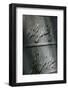 Whirling dervish's tombstone, Istanbul, Turkey-Godong-Framed Photographic Print