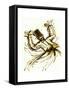 Whirling Dervish, Turkey, 2005, ink drawing-John Newcomb-Framed Stretched Canvas