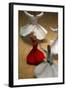 Whirling Dervishes at the Dervishes Festival, Konya, Central Anatolia, Turkey, Asia Minor, Eurasia-Bruno Morandi-Framed Photographic Print