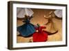 Whirling Dervishes at the Dervishes Festival, Konya, Central Anatolia, Turkey, Asia Minor, Eurasia-Bruno Morandi-Framed Photographic Print