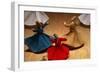 Whirling Dervishes at the Dervishes Festival, Konya, Central Anatolia, Turkey, Asia Minor, Eurasia-Bruno Morandi-Framed Photographic Print