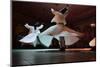 Whirling dervishes dancing, Istanbul, Turkey-Keren Su-Mounted Photographic Print