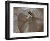 Whirling Dervishes, Performing the Sema Ceremony, Istanbul, Turkey-Gavin Hellier-Framed Photographic Print