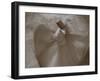 Whirling Dervishes, Performing the Sema Ceremony, Istanbul, Turkey-Gavin Hellier-Framed Photographic Print