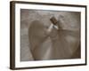 Whirling Dervishes, Performing the Sema Ceremony, Istanbul, Turkey-Gavin Hellier-Framed Photographic Print