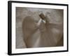 Whirling Dervishes, Performing the Sema Ceremony, Istanbul, Turkey-Gavin Hellier-Framed Photographic Print