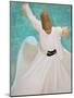 Whirling Dervishes, Performing the Sema, Istanbul, Turkey-Gavin Hellier-Mounted Photographic Print