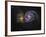 Whirlpool Galaxy-Stocktrek Images-Framed Photographic Print