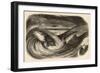 Whirlpool, Maelstrom-null-Framed Art Print