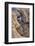 Whirlpools, Escalante, Utah-John Ford-Framed Photographic Print