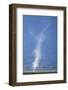 Whirlwind Rising from Savanna-null-Framed Photographic Print