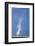 Whirlwind Rising from Savanna-null-Framed Photographic Print