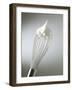 Whisk with Beaten Egg-whites-Steve Lupton-Framed Photographic Print