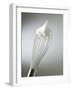 Whisk with Beaten Egg-whites-Steve Lupton-Framed Photographic Print