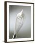 Whisk with Beaten Egg-whites-Steve Lupton-Framed Photographic Print