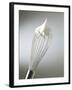 Whisk with Beaten Egg-whites-Steve Lupton-Framed Photographic Print