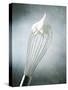 Whisk with Egg-Whites-Steve Lupton-Stretched Canvas