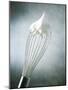 Whisk with Egg-Whites-Steve Lupton-Mounted Photographic Print