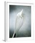 Whisk with Egg-Whites-Steve Lupton-Framed Photographic Print