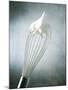 Whisk with Egg-Whites-Steve Lupton-Mounted Photographic Print