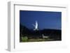 Whiskered Tern (Chlidonias Hybrida) Landing at Nest at Night, Lake Skadar Np, Montenegro, May-Radisics-Framed Photographic Print