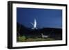 Whiskered Tern (Chlidonias Hybrida) Landing at Nest at Night, Lake Skadar Np, Montenegro, May-Radisics-Framed Photographic Print