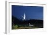 Whiskered Tern (Chlidonias Hybrida) Landing at Nest at Night, Lake Skadar Np, Montenegro, May-Radisics-Framed Photographic Print