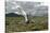 Whiskered Tern (Chlidonias Hybrida) on Nest with Eggs, Wings Stretched, Lake Skadar Np, Montenegro-Radisics-Stretched Canvas