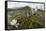 Whiskered Tern (Chlidonias Hybrida) Pair on Nest, Lake Skadar Np, Montenegro-Radisics-Framed Stretched Canvas