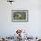 Whiskered Tern (Chlidonias Hybrida) Stretching Wings, Lake Skadar, Lake Skadar Np, Montenegro, May-Radisics-Framed Photographic Print displayed on a wall