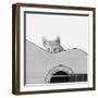 Whiskers and Strings-Jon Bertelli-Framed Photographic Print