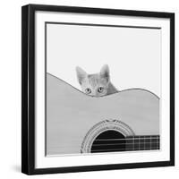 Whiskers and Strings-Jon Bertelli-Framed Photographic Print