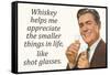 Whiskey Makes Me Appreciate Smaller Things In Life  - Funny Poster-Ephemera-Framed Stretched Canvas