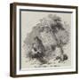 Whiskey Still in Connemara-null-Framed Giclee Print