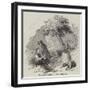 Whiskey Still in Connemara-null-Framed Giclee Print