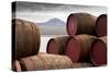 Whisky Barrels on Islay/View over to Jura/Whisky Barrels Stacked Up-Scott Jessiman Photo-Stretched Canvas